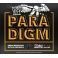 Ernie Ball 2022 Paradigm Slinky (09-46)
