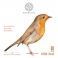 Knobloch Erithacus BIO Nylon Media/Fuerte. EDB 34.0