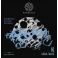 Knobloch Luna Flamenca Azabache Fuerte LDN 34.5